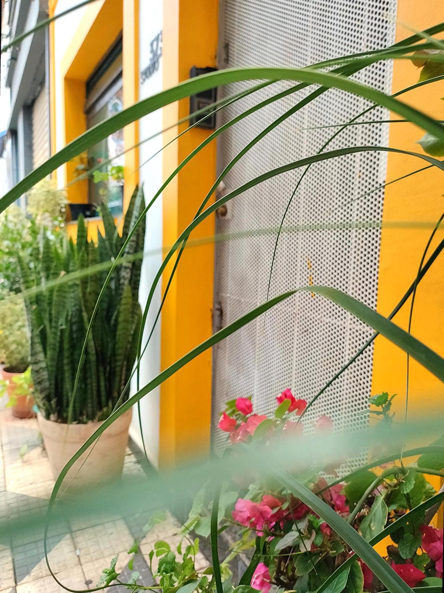 סאו פאולו Casa 373 - Hospedaria Vila Mariana - Valores Acessiveis מראה חיצוני תמונה