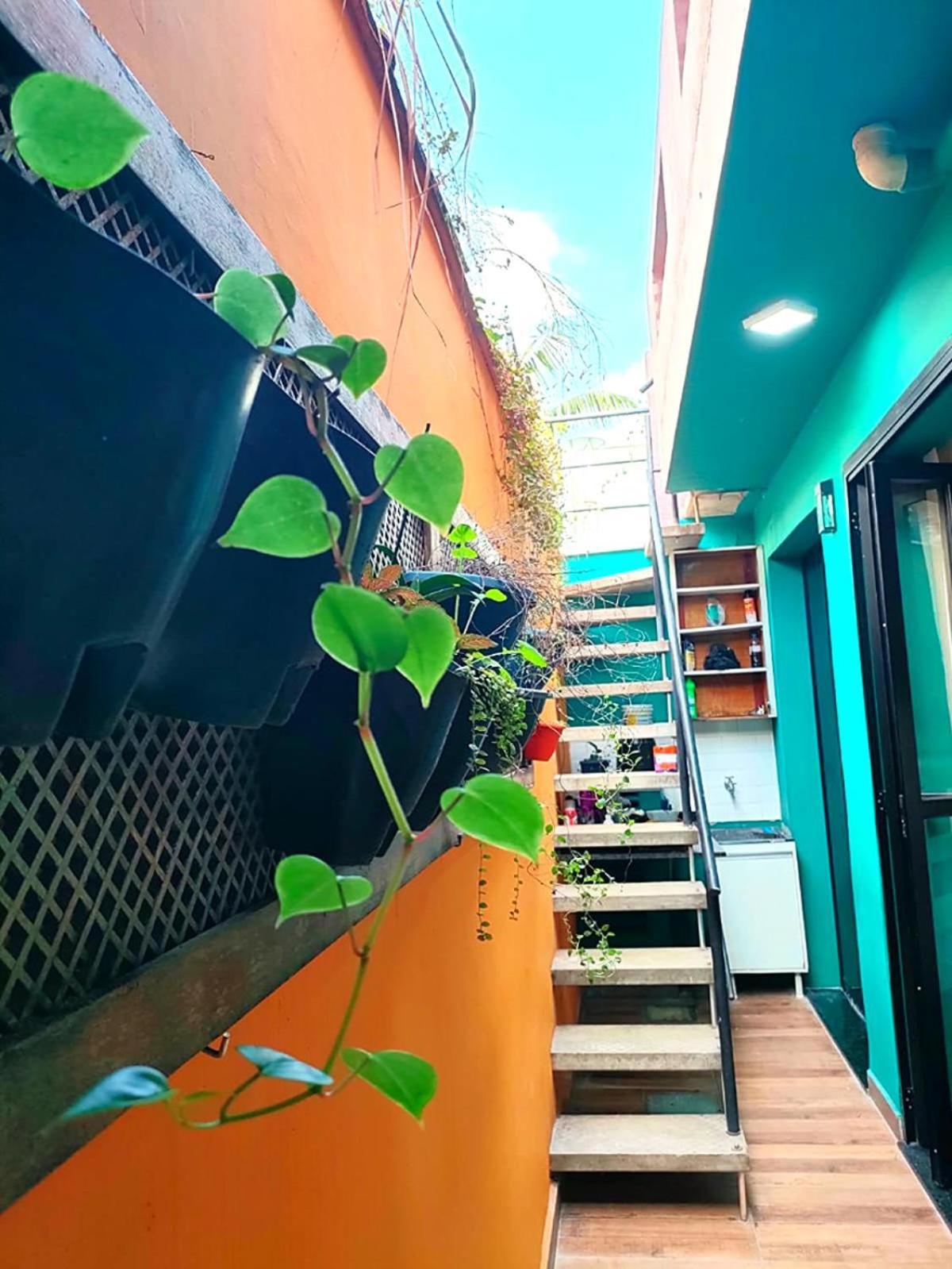 סאו פאולו Casa 373 - Hospedaria Vila Mariana - Valores Acessiveis מראה חיצוני תמונה